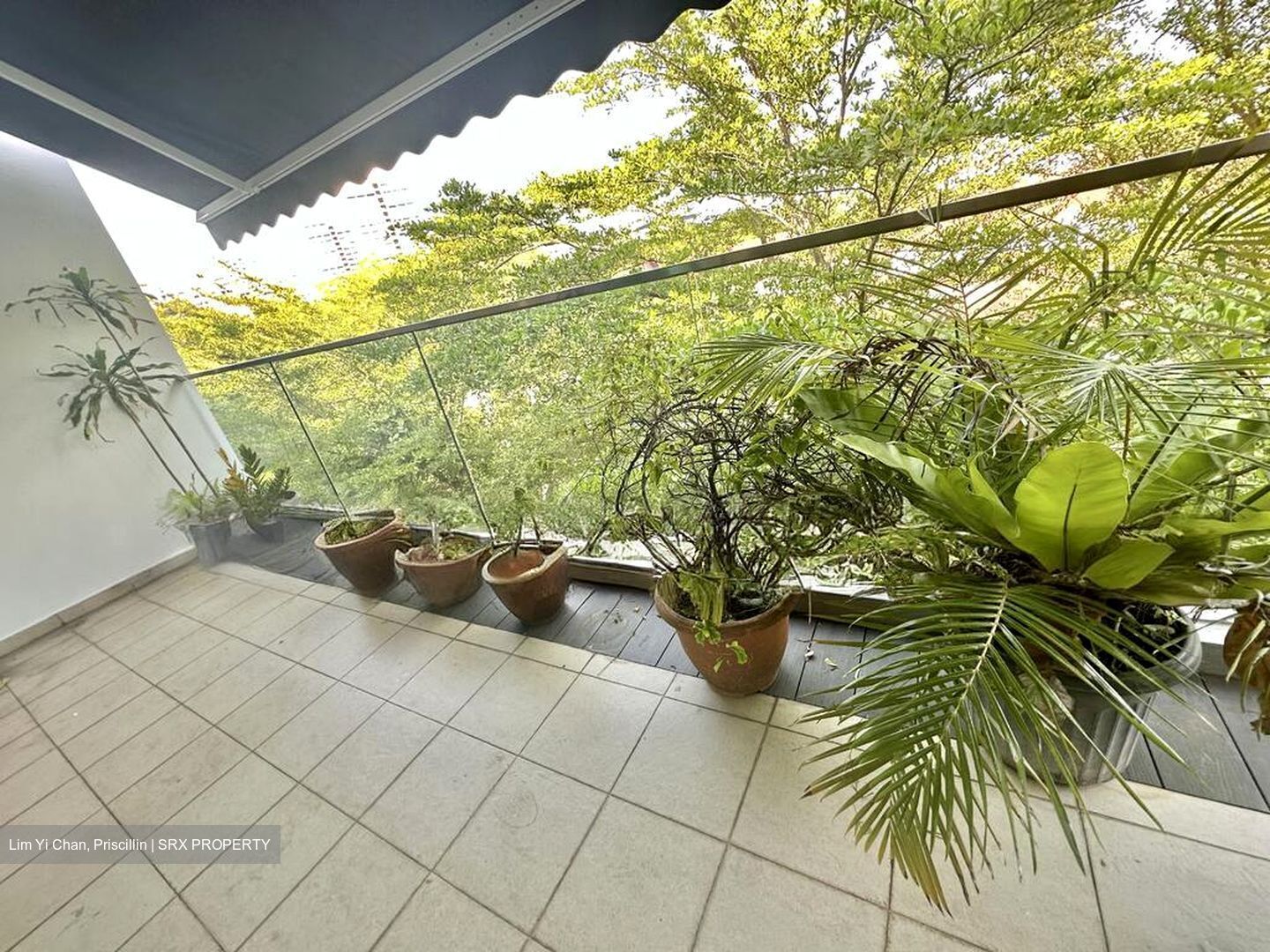 Tierra Vue (D15), Condominium #504223731